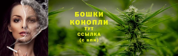 винт Лабытнанги