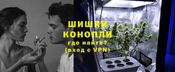 винт Лабытнанги