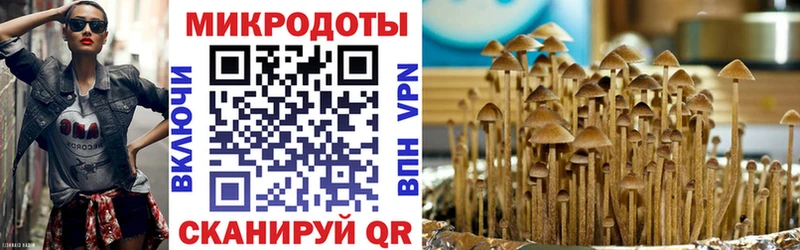 сколько стоит  Калязин  Псилоцибиновые грибы мицелий 